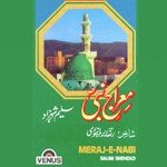 Saleem Shahzad Songs MP3 Download
